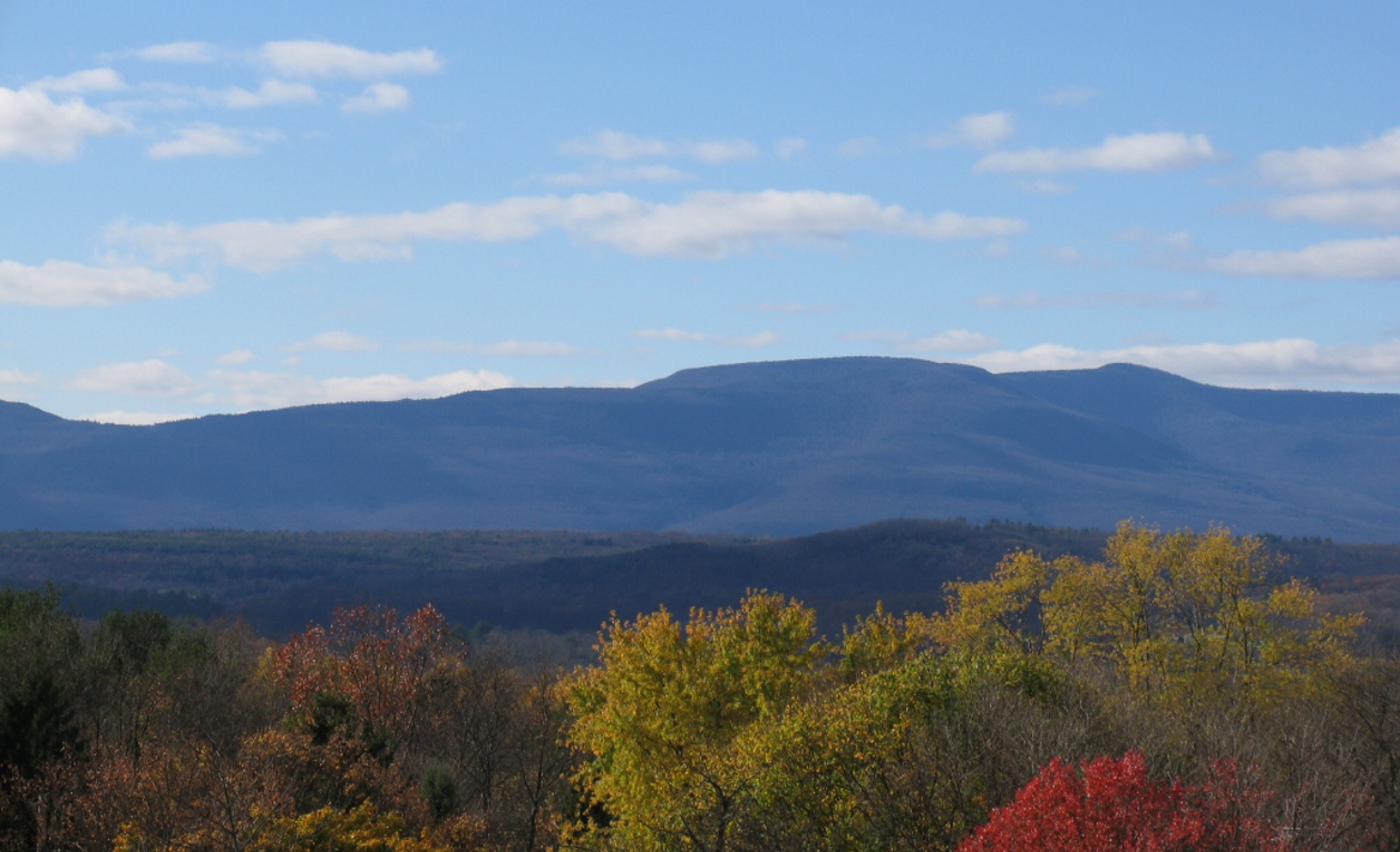 Catskill Mountain Bed N Biscuit